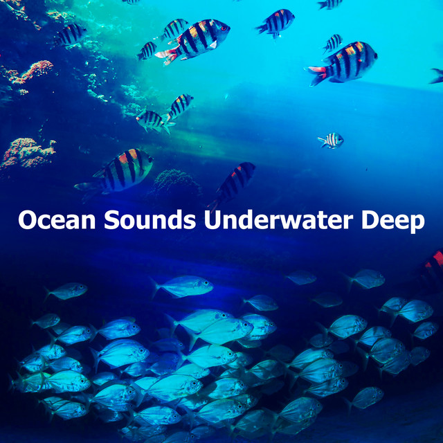 Ocean Sounds Underwater Deep - Album by Ocean Sounds | Spotify