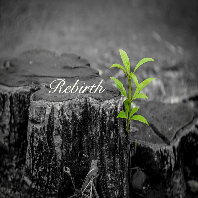 Matthias Schneiders – Rebirth