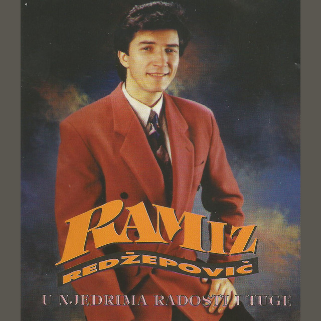U njedrima radosti i tuge cover art
