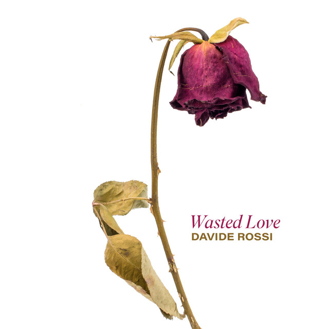 Wasted love cover