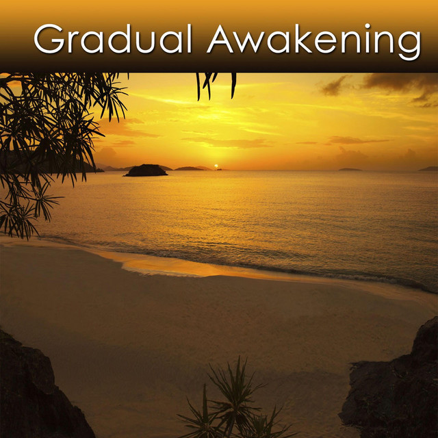 Gradual Awakening - Single by Dr. Harry Henshaw | Spotify
