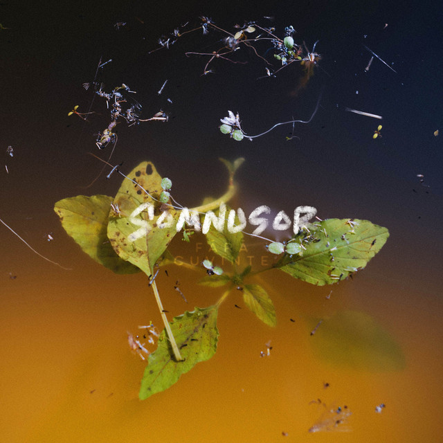 Fără Cuvinte cover art