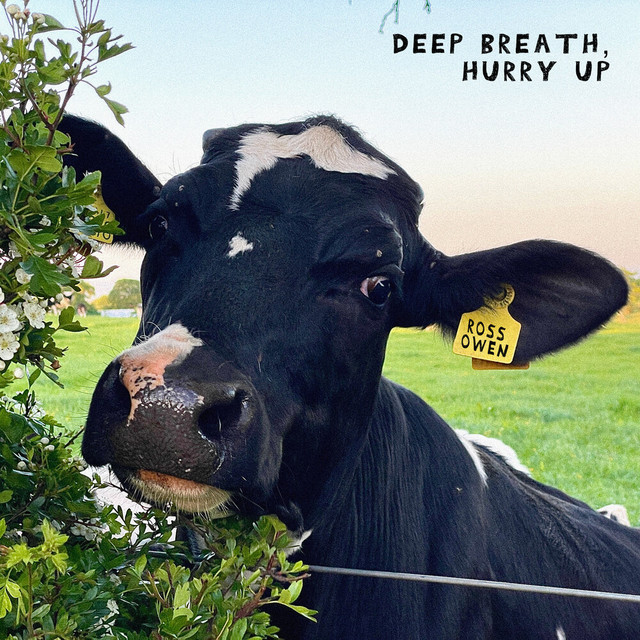 Deep Breath, Hurry Up cover art
