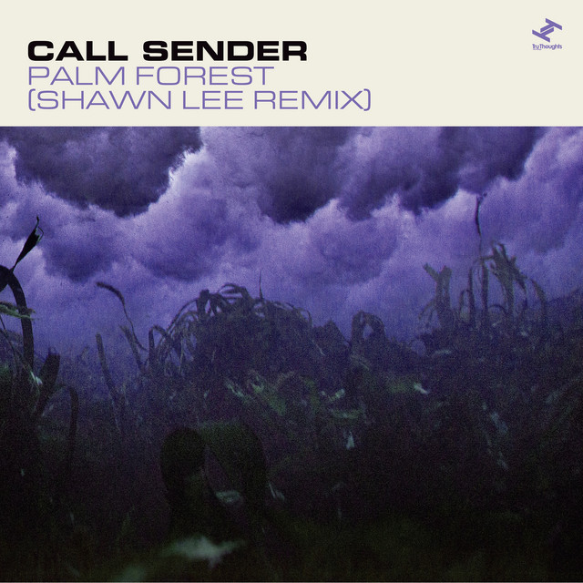 Cover du titre Palm Forest - Shawn Lee Remix