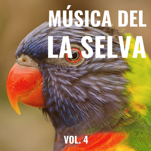 1 Música de la Naturaleza de la Selva para Relajarse Totalmente pt. 2 cover art