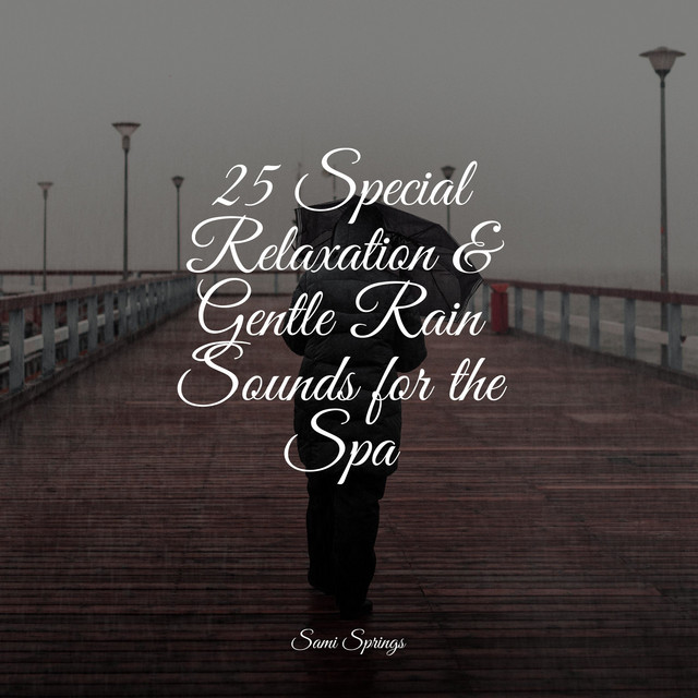 25 Special Relaxation & Gentle Rain Sounds for the Spa - Album by ...