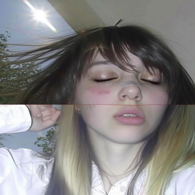 Notas cover art