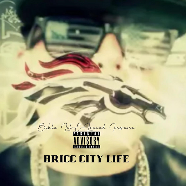 Bricc City Life