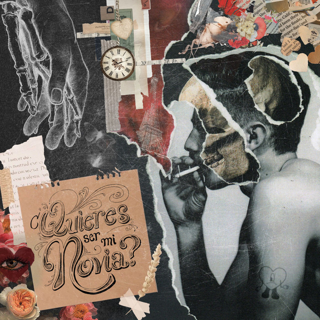 ¿Quieres ser mi novia? cover art