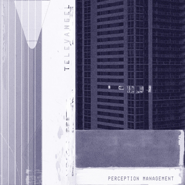 Perception Management cover art