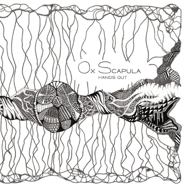 Ox Scapula Photo