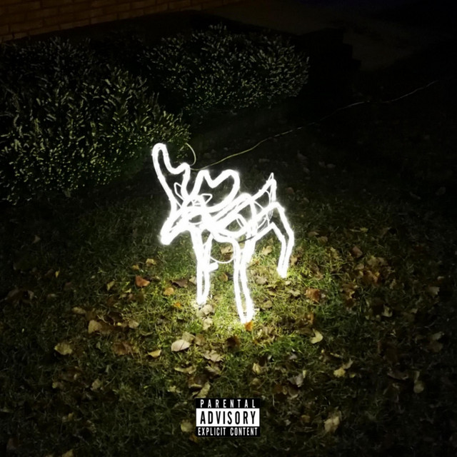 Reindeer