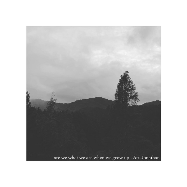 are we what we are when we grow up cover art