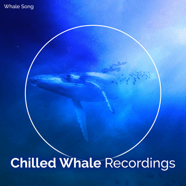 Chilled Whale Recordings cover art