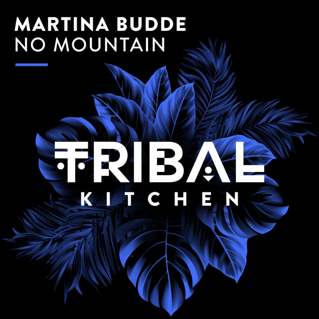 No Mountain - Extended Mix album art