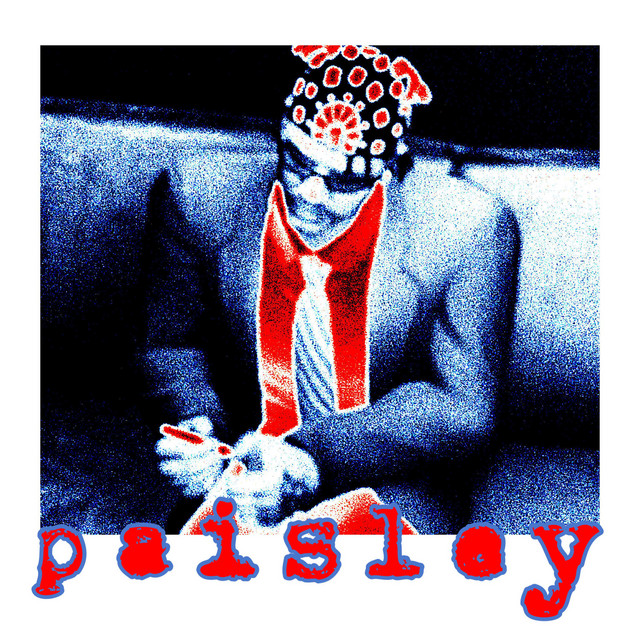Paisley cover