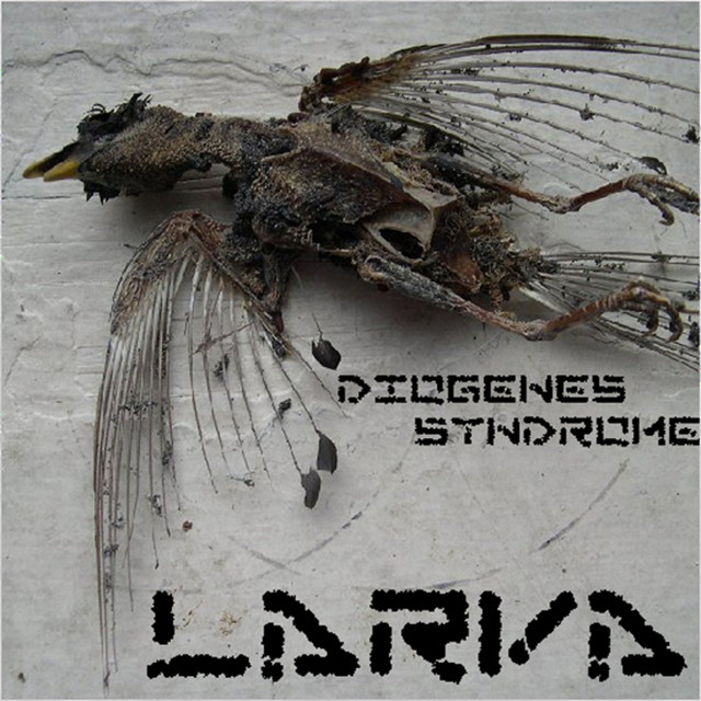 Diogenes Syndrome cover art