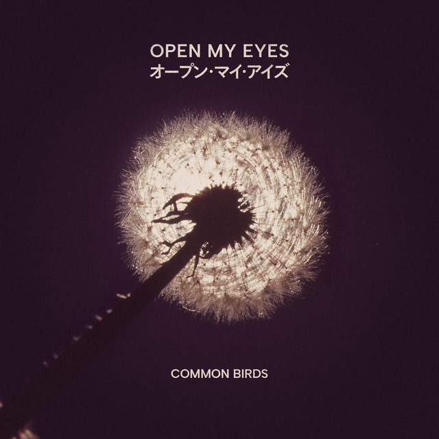 Open My Eyes