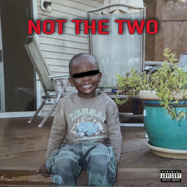 Not The Two cover art
