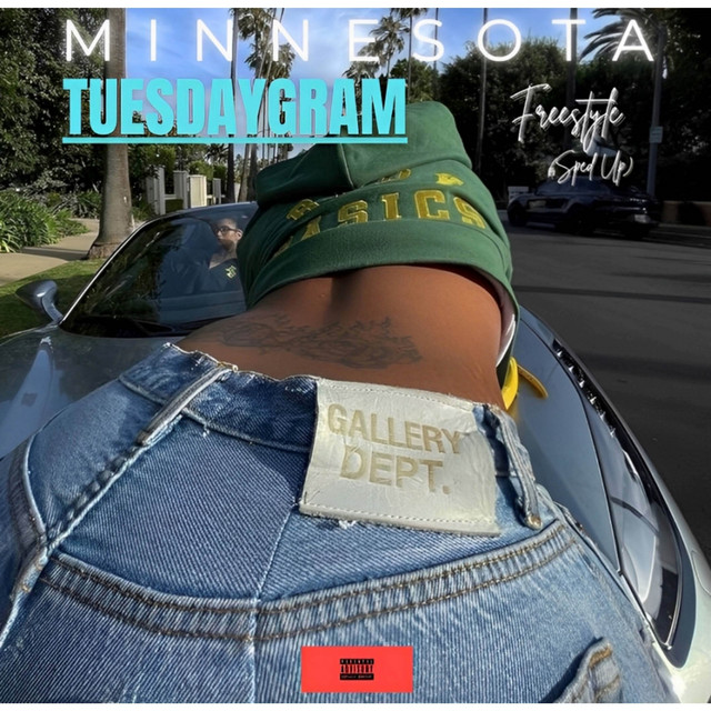 Minnesota (Freestyle - Sped Up) cover art