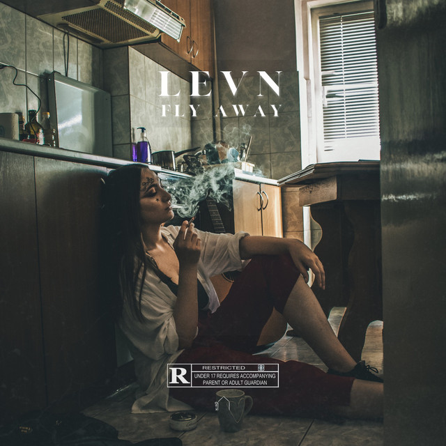 Fly Away cover art