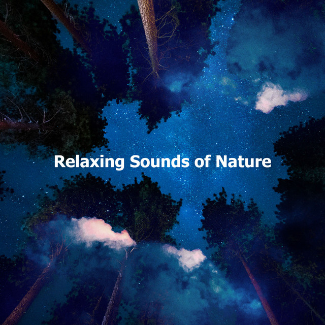Nature and Life - song and lyrics by Spa Relaxation & Spa | Spotify