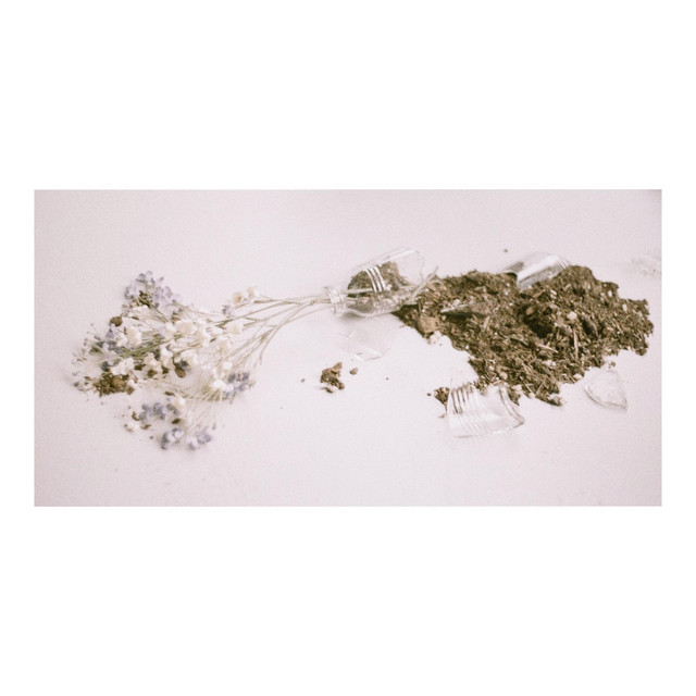 Trains / Red Pine cover art