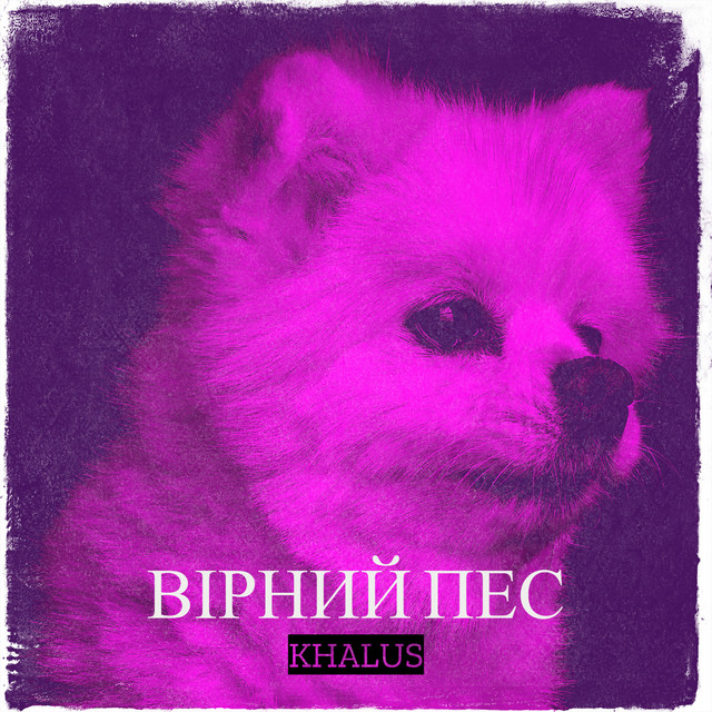 Cover art: Вірний пес — KHALUS