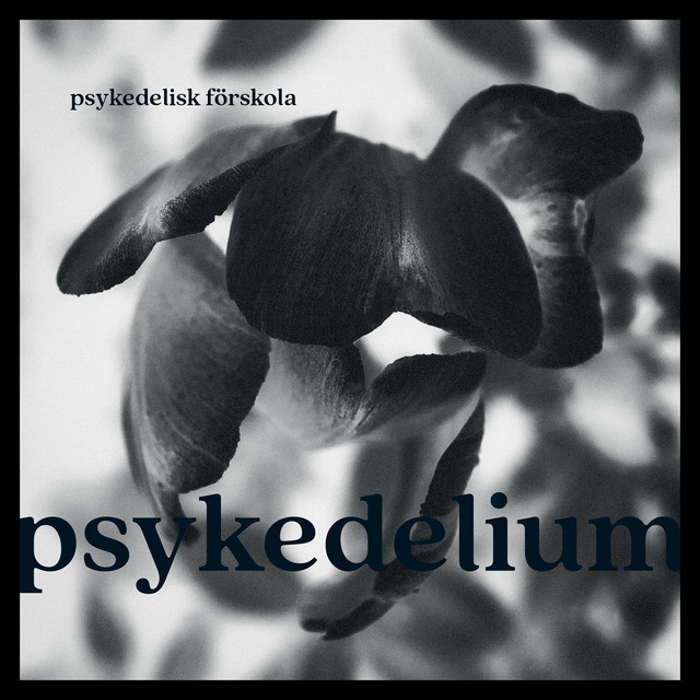 Psykedelisk Förskola