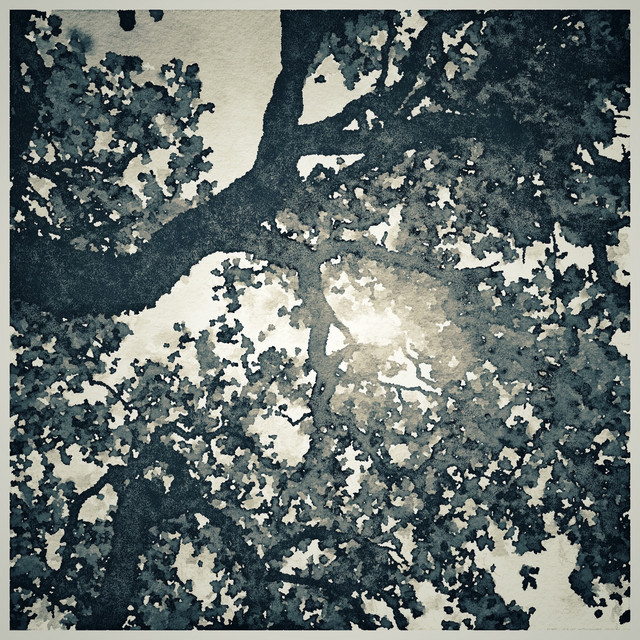 In This Light cover
