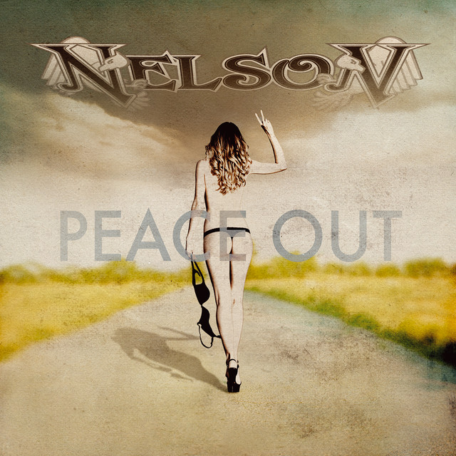 Peace Out cover art