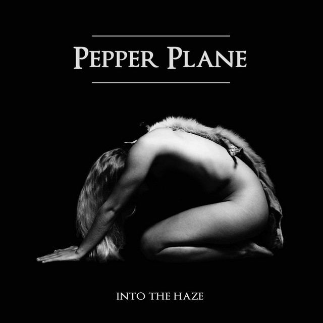 Into the Haze cover art