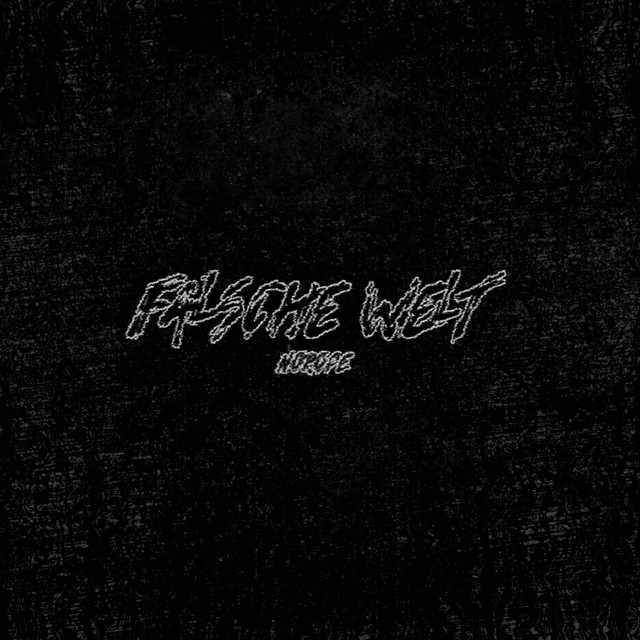 Falsche Welt cover art