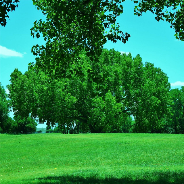 Mortify Photo