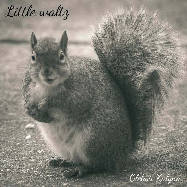 Обкладинка: Little waltz — Oleksii Kalyna