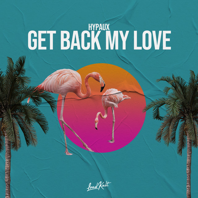Get Back My Love