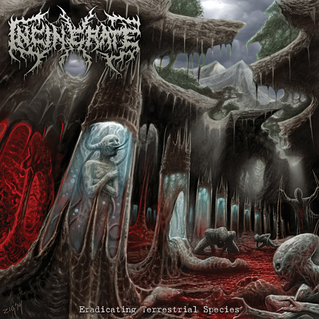 Incinerate Photo