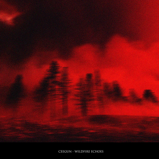 Обкладинка Ceegun — Wildfire Echoes