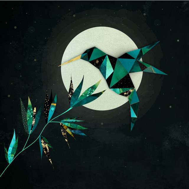 Flight Of The Nebers album image