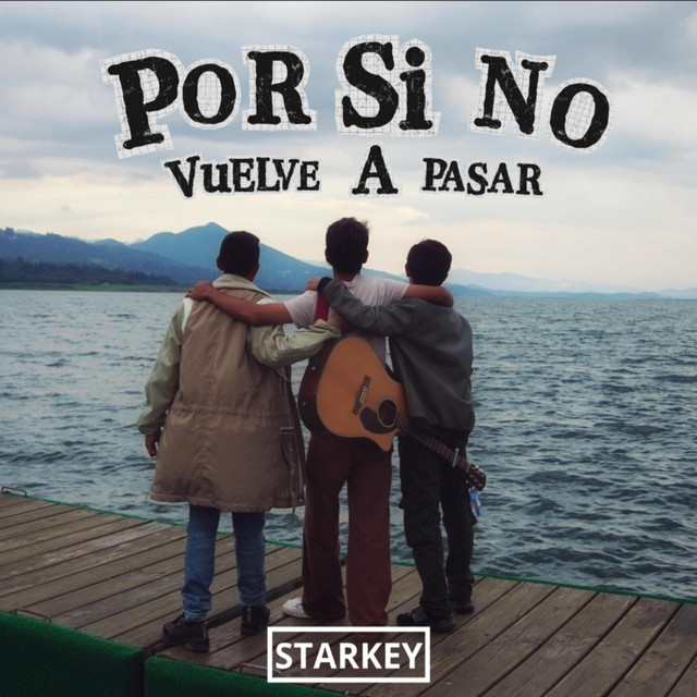 Por Si No Vuelve A Pasar cover art