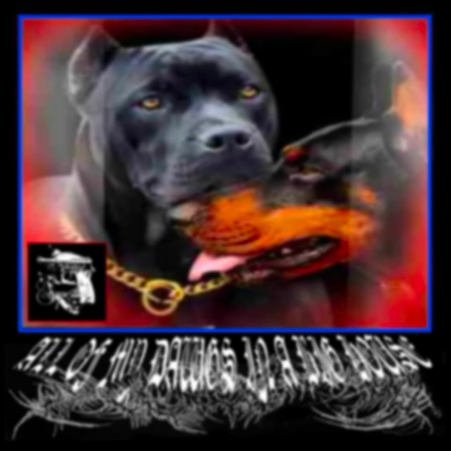 ALL OF MY DAWGS IN A BIG HOUSE cover art
