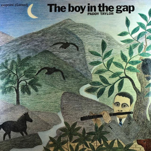 The Boy In The Gap cover