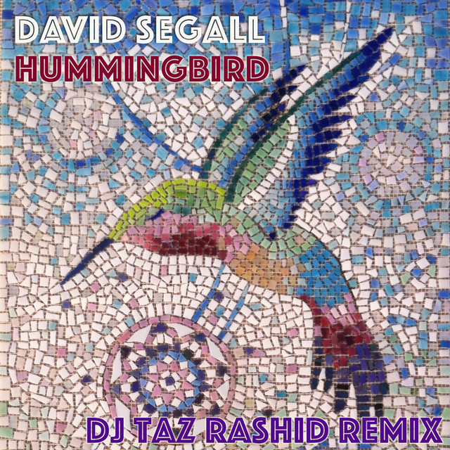 Hummingbird (DJ Taz Rashid Remix) - Single by David Segall | Spotify