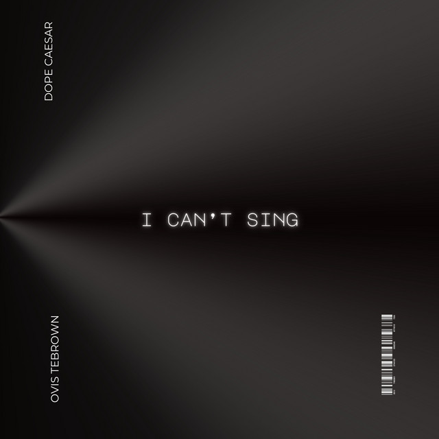 I Can't Sing cover art