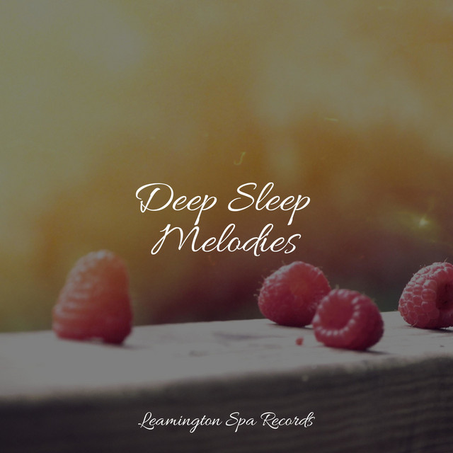 Deep Sleep Melodies - Album by Meditation Zen | Spotify