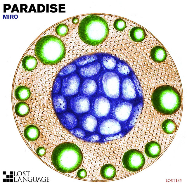 Paradise Remixes cover