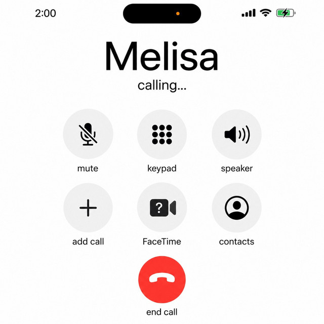 Melisa I'M Drunk And Outside cover art