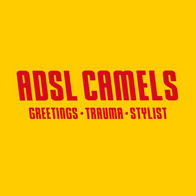ADSL CAMELS