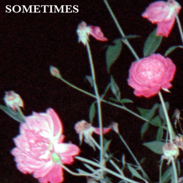 SOMETIMES cover art