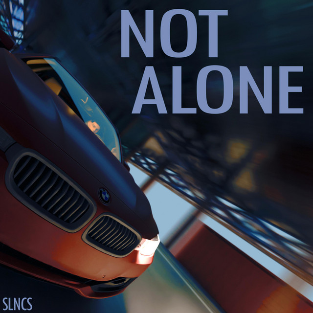 Cover art: not alone — SLncS